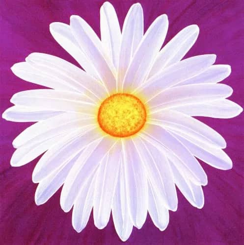 Daisy 9/3 —  Davies