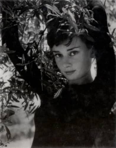 Audrey Hepburn —  Philippe Halsman