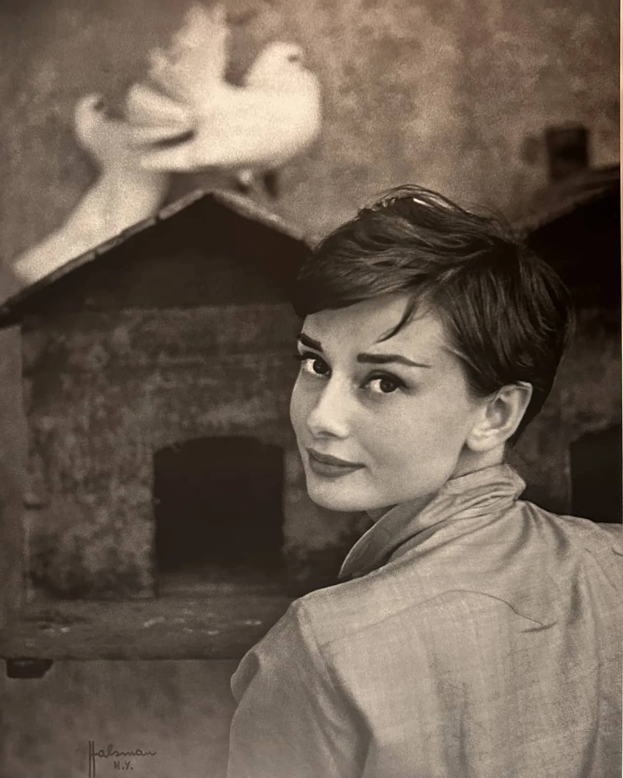 Audrey Hepburn —  Philippe Halsman