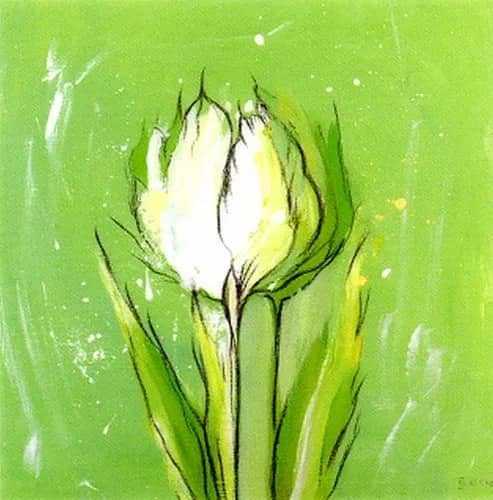 Tulipa 3 —  Elena Vilatov