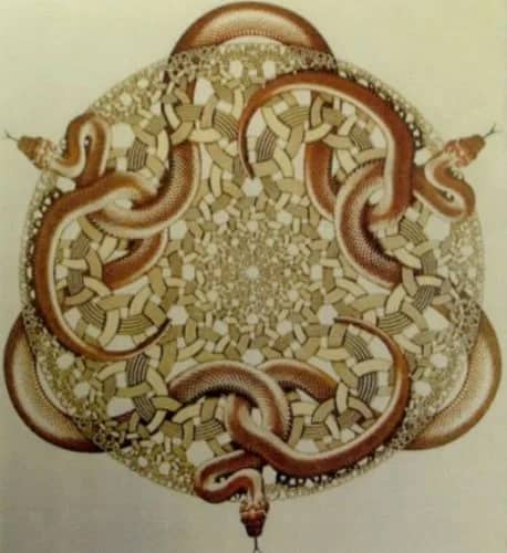 Slangen —  Escher