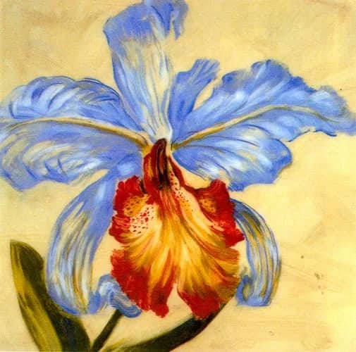 Hot blooms III —  Burr