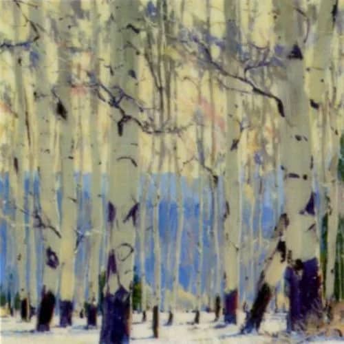 December Aspen —  Hook