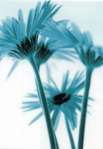 Rendez-vous III —  Kirsten Riedt