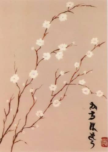 Almendo Oriental III —  Paz