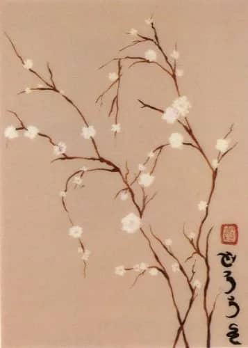 Almendo Oriental IV —  Paz