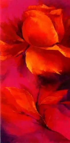 Asian Rose II —  Elena Filatov