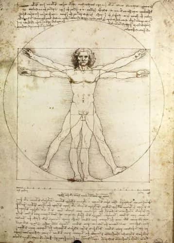 Corpo umano —  Da Vinci