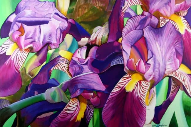 LILY — Ella Joosten