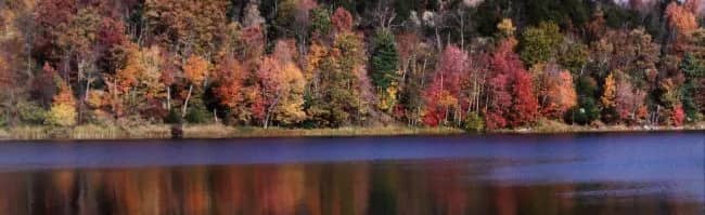 Automne au Canada —  Pinsard, Laurent
