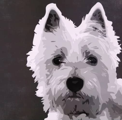 West Highland Terrier —  Burrowes, Emily