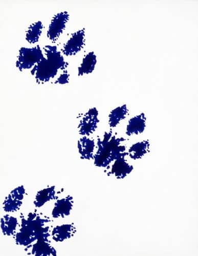 Blue Period XIV — Rob Scholte
