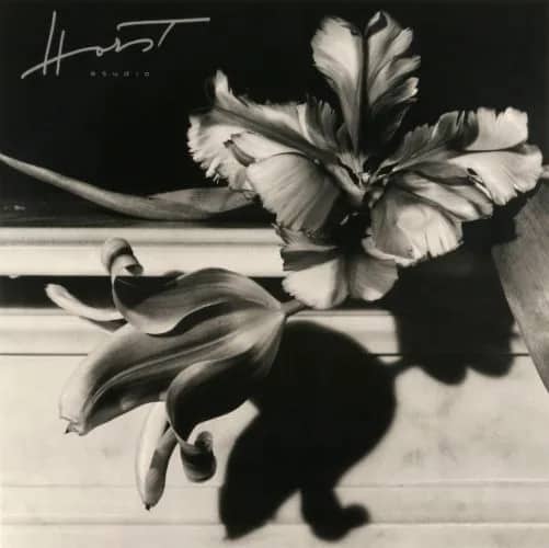 Tulips on mantle —  Horst