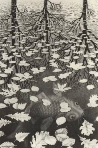 Three worlds     2hp —  Escher