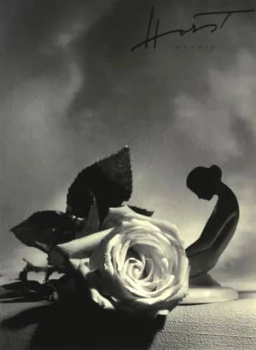 Eva with rose —  Horst
