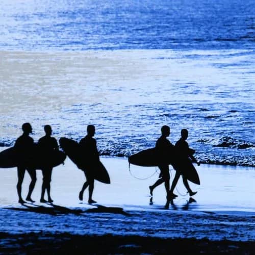 Endless Summer II —  Faint, Grant