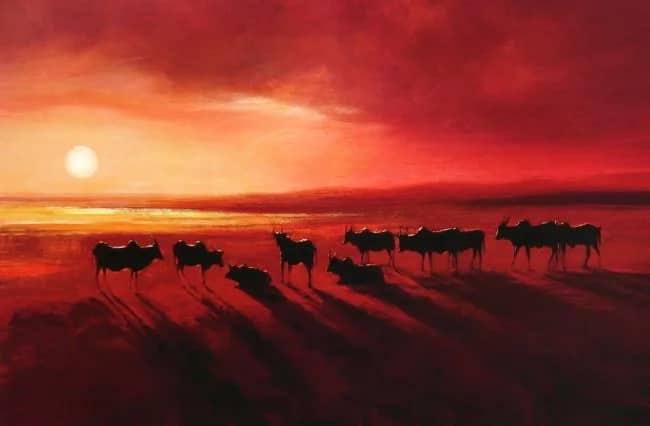 Zebu at Dusk —  Sanders, Jonathan