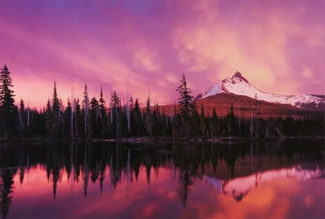 Mount washington —  Tuttle
