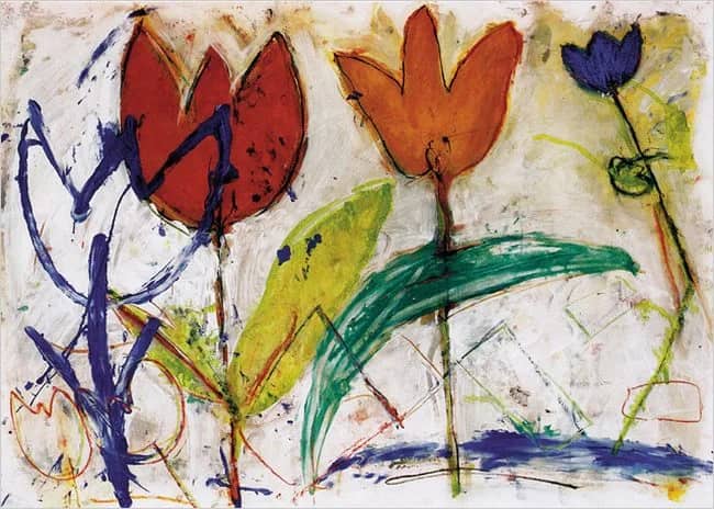 Tulips —  Meijer