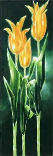 Tulpen —  Kirchner