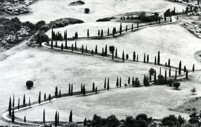 Toscana, 1980 —  Gardin