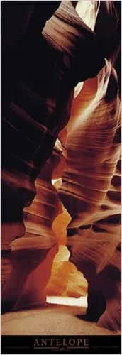 Antelope —  Thomas
