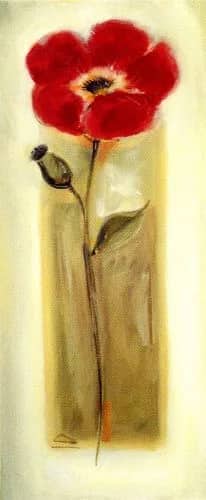 Rode papaver —  Voss