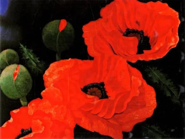 Mohnblume    2HP —  Franke