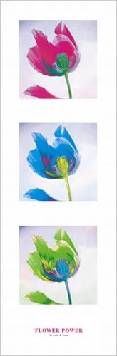 Flower Power I —  Lens & Lens