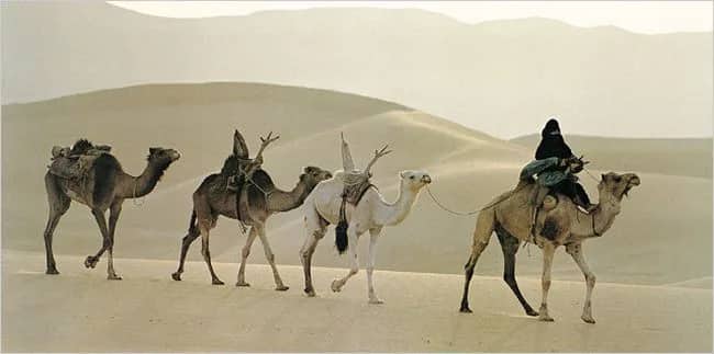 Caravane, Niger —  M. Ascani