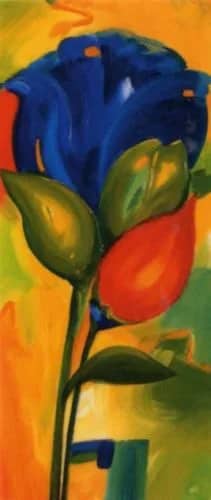 Tulp II —  Gockel