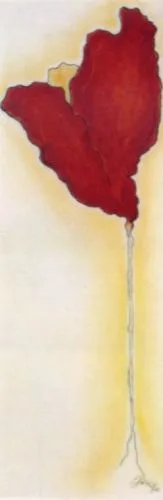Fleur Rouge —  Doucet
