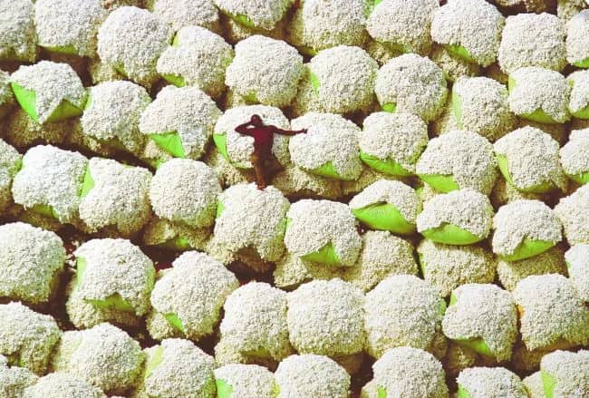 Bales of cotton — Yann Arthus-Bertrand