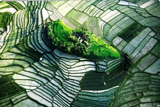 Isled in the terraced ricefields — Yann Arthus-Bertrand