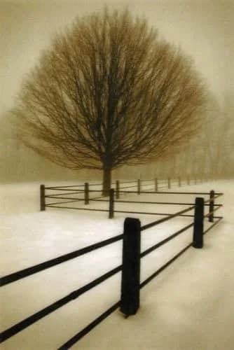 Solitude —  Winston