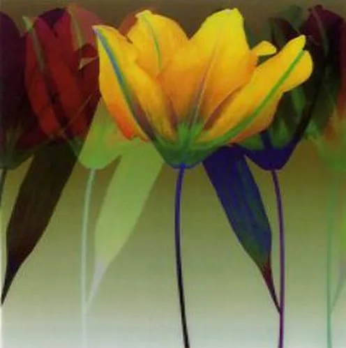 Lily dance —  Robert Mertens