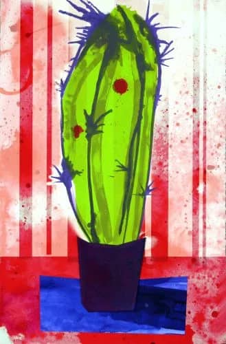 Cactus IV — Romy - MOOZ- Maasdam