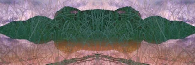Green Rithm — Margot van de Stolpe