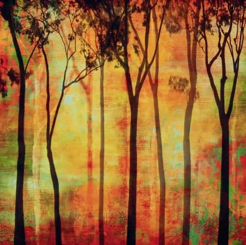 Magival forest I —  Donovan