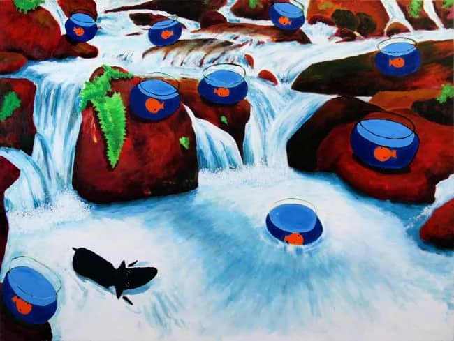 Vissenkommen bij waterval — Peter   Bastiaanssen