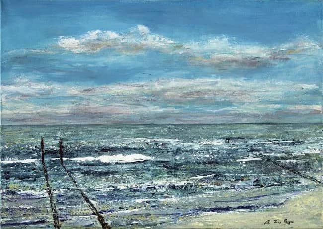 Noordzee mei 2015 — Michel van Zinnicq Bergmann