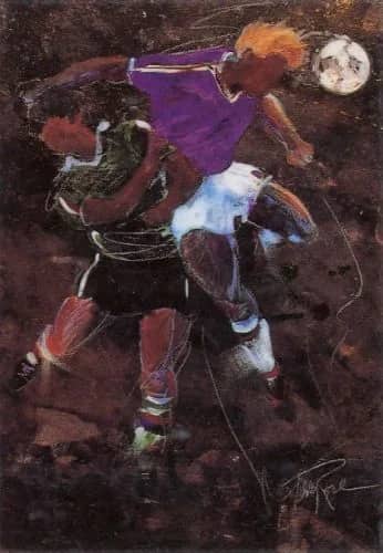 Aerial combat —  Rose