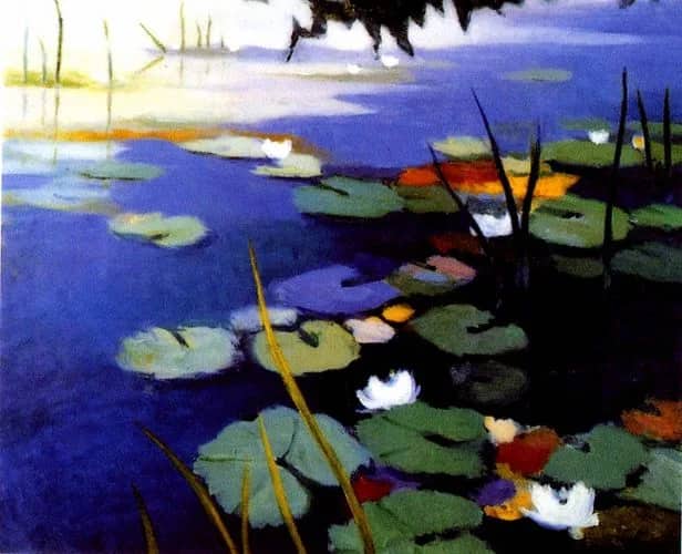 Water lilies —  Asoma