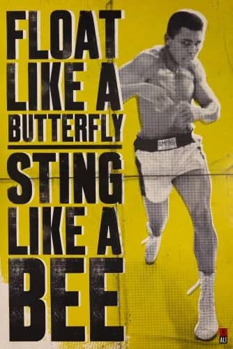 Float like a butterfly — Unknow artist Anonymous