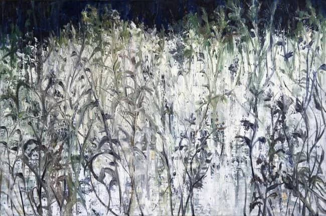 15.009 — Dorine Latenstein