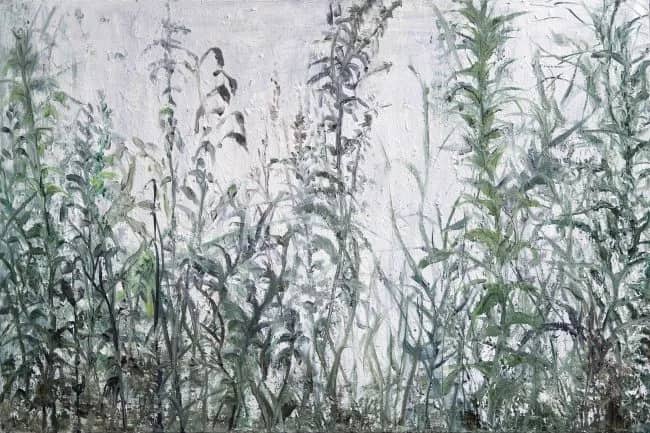 15.005 — Dorine Latenstein