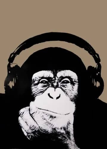 Steez Monkey — Unknow artist Anonymous