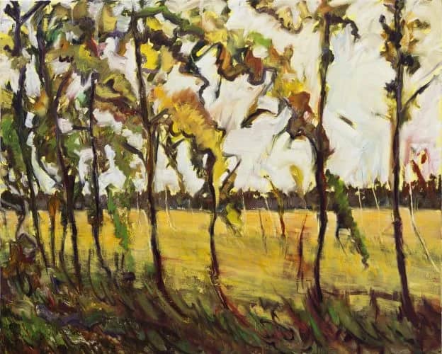 Field recordings II — John Konijn