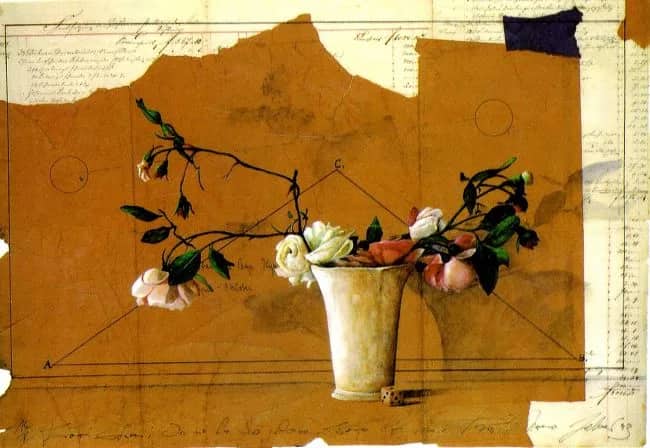 Rose e cubo —  Zelmer
