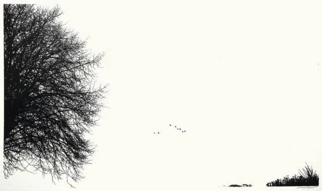 Nils — Ewoud   Bras
